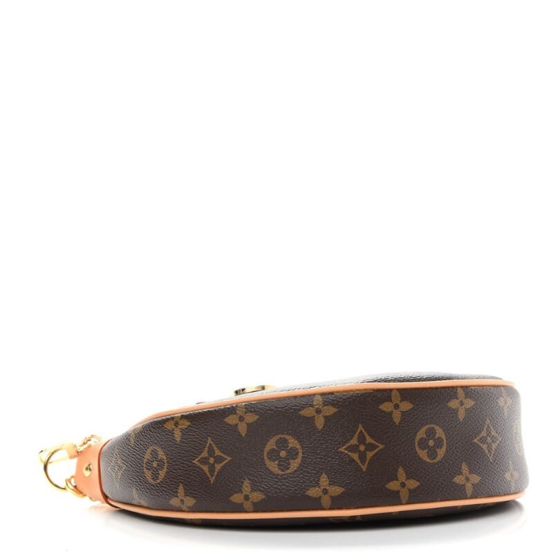 Bag Louis Vuitton Monogram New Loop LV175 - FetchStyles